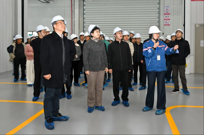 金坛区三级人大代表视察钟楼