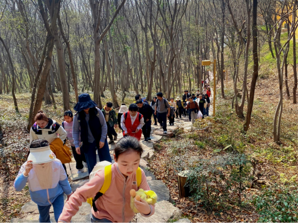 五星街道龙星路社区妇联：春风寄清明，向野伴成长——龙星路社区妇联亲子登山活动
