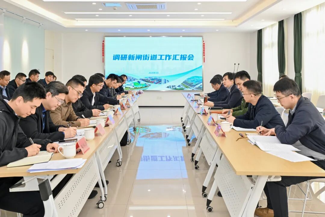 区领导调研新闸街道