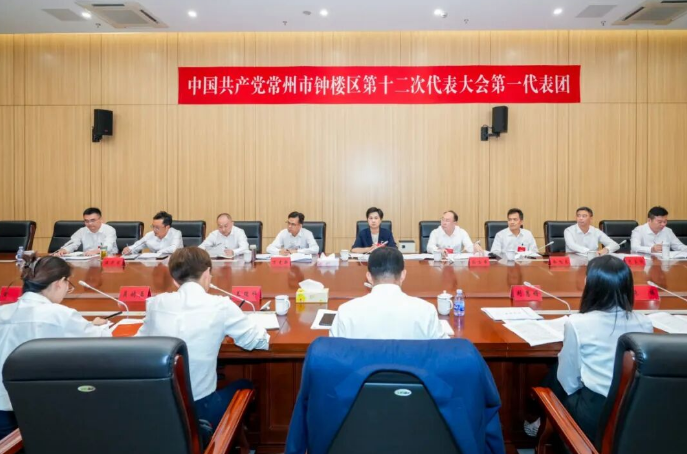 区领导参加区第十二次党代会代表团分组讨论